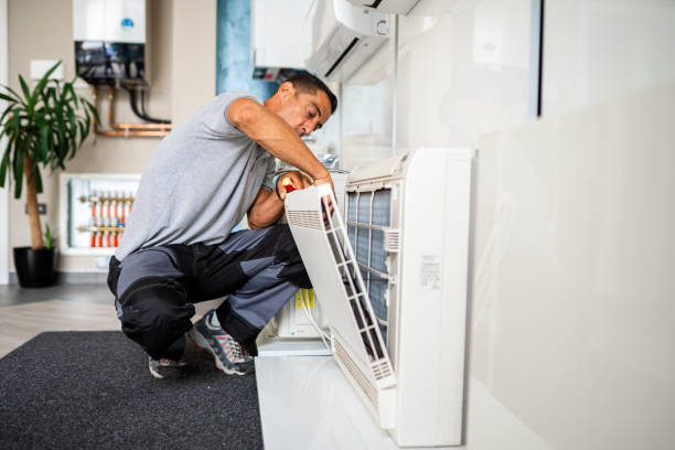 Best Air Duct Mold Removal  in Pine Lake Park, NJ