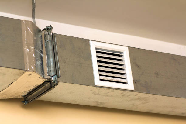 Best Air Duct Sanitizing Services  in Pine Lake Park, NJ